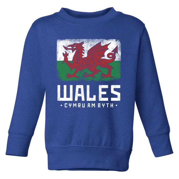 Wales Flag Welsh Dragon Banner Cymru Am Byth Welsh Gift Toddler Sweatshirt