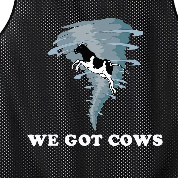 We Got Cows Tornado Chaser Mesh Reversible Basketball Jersey Tank