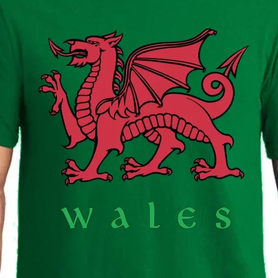 Wales Gift Welsh Red Dragon Cymru Pajama Set