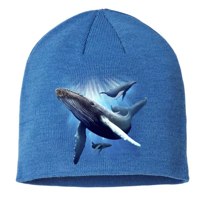 Whales 8 1/2in Sustainable Knit Beanie