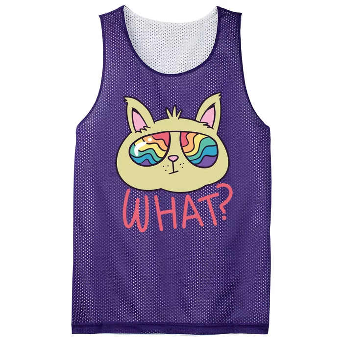 What Cat Rainbow Sunglasses Mesh Reversible Basketball Jersey Tank