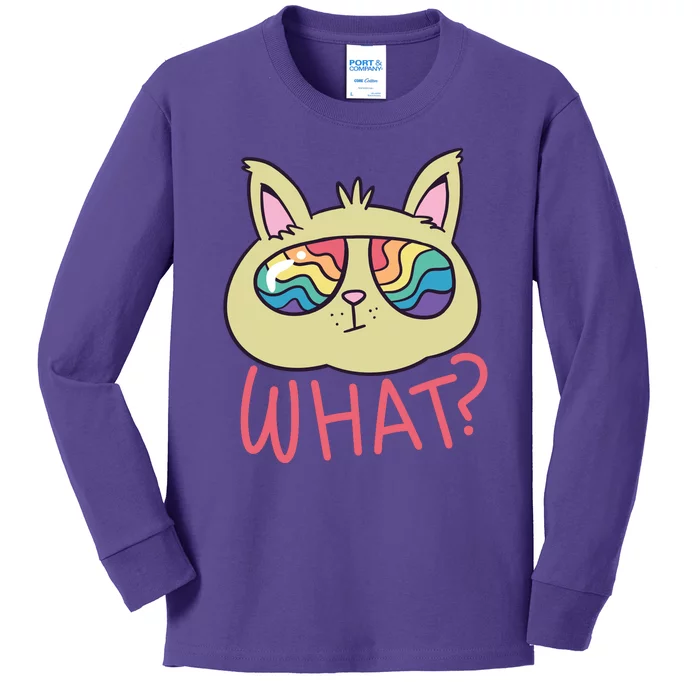 What Cat Rainbow Sunglasses Kids Long Sleeve Shirt