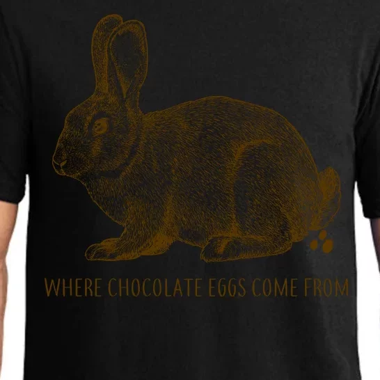 Where Chocolate Eggs Come From Pajama Set