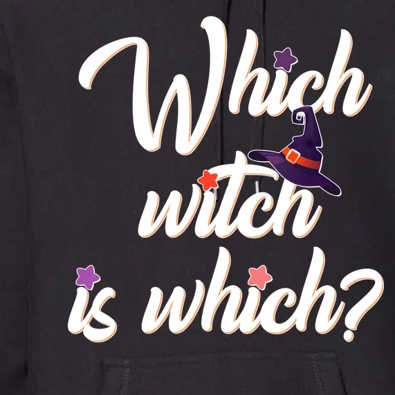 Which Witch Is Which? Premium Hoodie