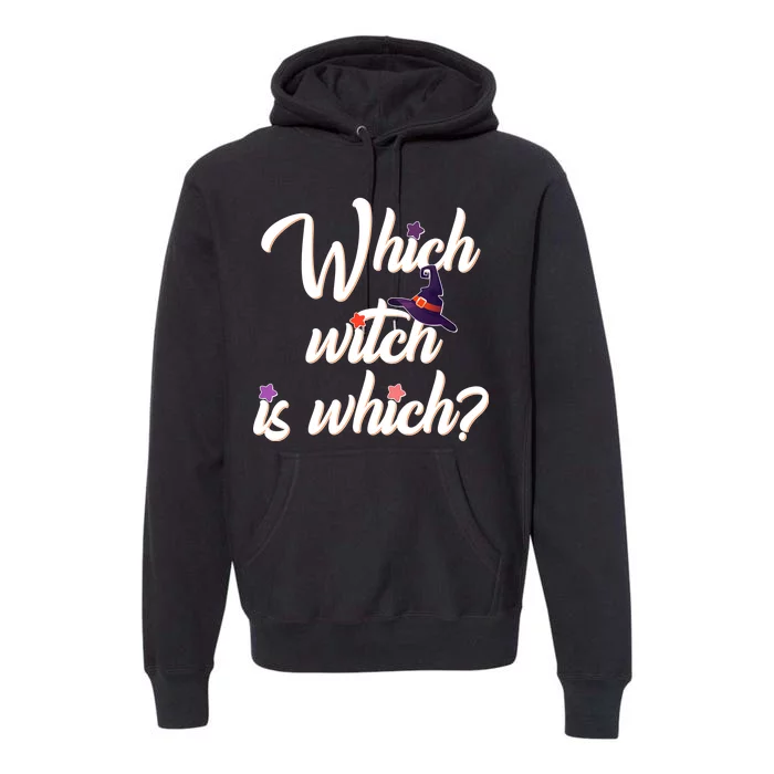 Which Witch Is Which? Premium Hoodie