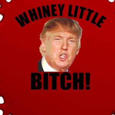 Whiney Little Bitch! Trump Hillary For President Oval Ornament