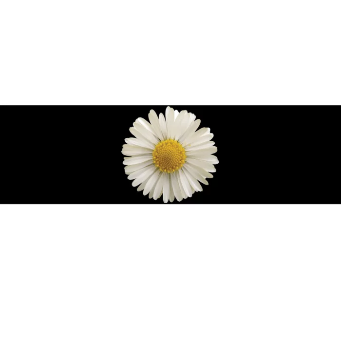 White Daisy Bumper Sticker