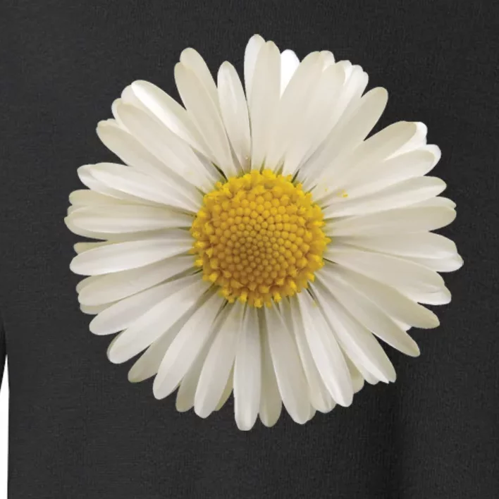 White Daisy Toddler Sweatshirt