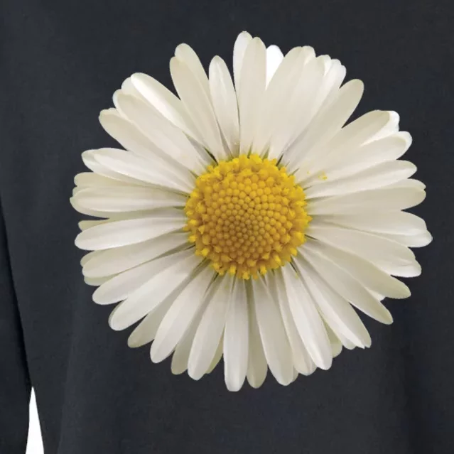 White Daisy Cropped Pullover Crew