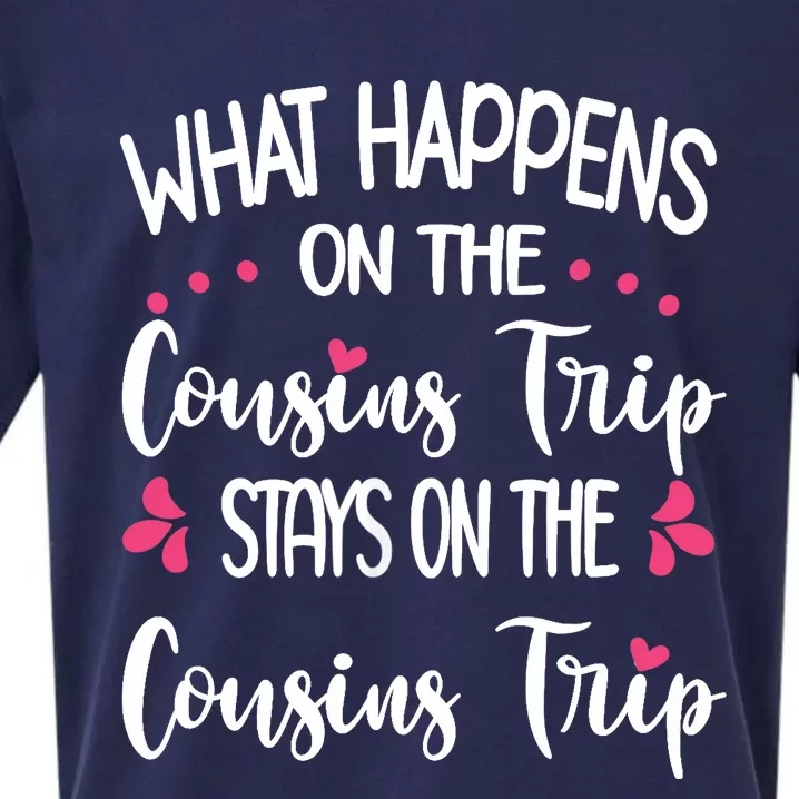 What Happens On Cousins Trip Stays On Cousins Trip Travel Sueded Cloud Jersey T-Shirt