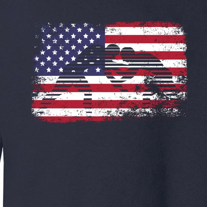 Wrestling Hoodie Usa Flag Wrestling Hoodie Toddler Sweatshirt