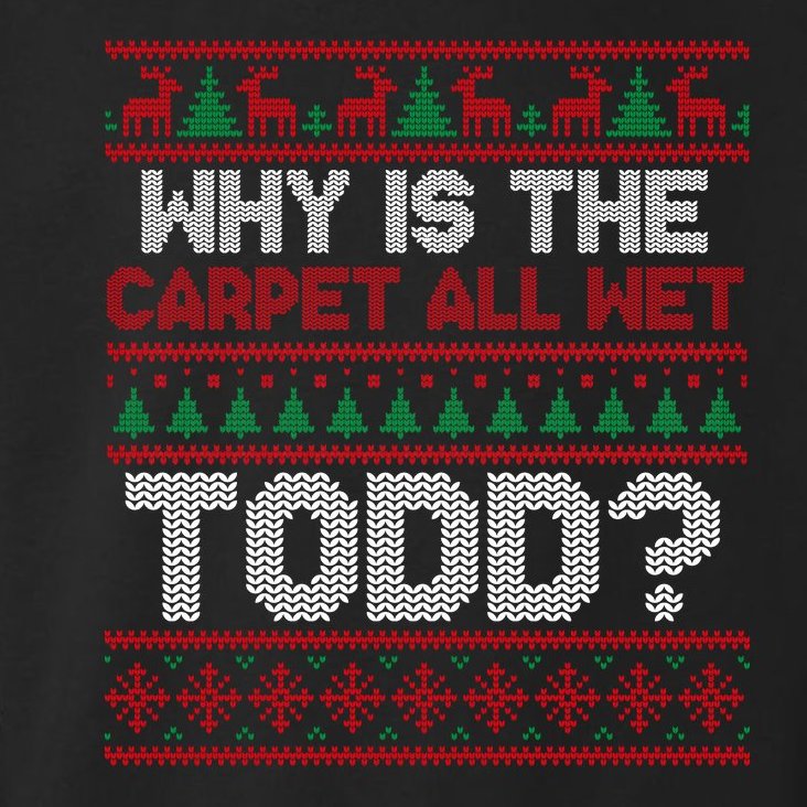 Why Is the Carpet All Wet Todd? Funny Christmas Toddler Hoodie