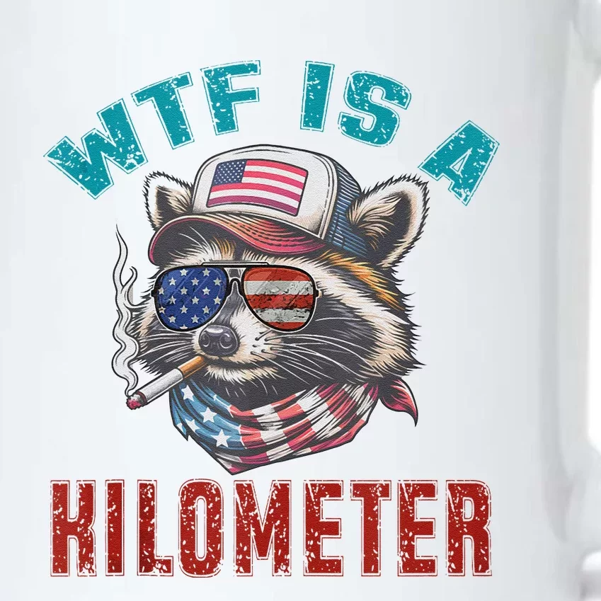 Wtf Is A Kilometer American Raccoon Black Color Changing Mug