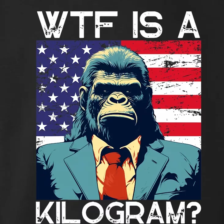 Wtf Is A Kilogram Bigfoot Political 4th Of July Usa Pride Toddler Hoodie