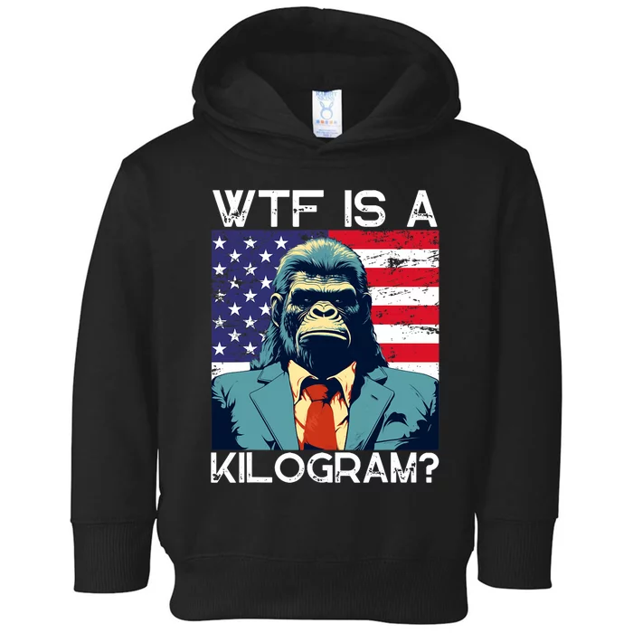 Wtf Is A Kilogram Bigfoot Political 4th Of July Usa Pride Toddler Hoodie