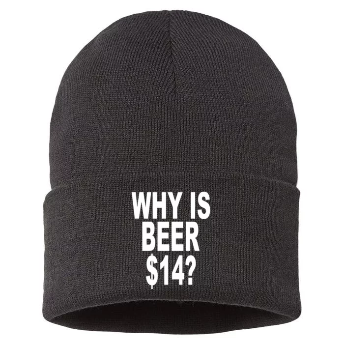 Why Is Beer $14 Sustainable Knit Beanie