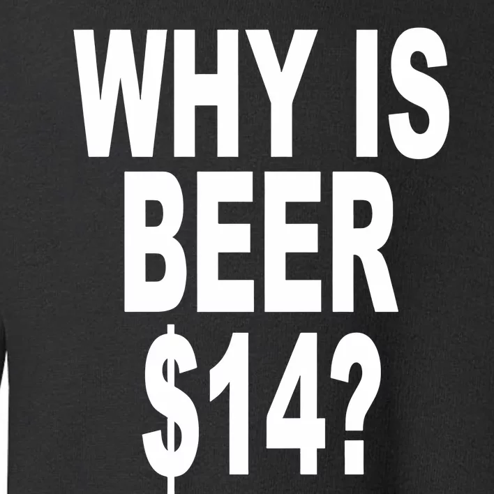 Why Is Beer $14 Toddler Sweatshirt