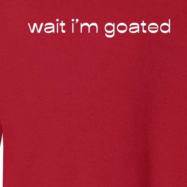 Wait IM Goated Funny Meme Toddler Sweatshirt