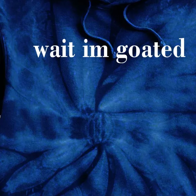 Wait Im Goated Funny Meme Tie Dye Hoodie