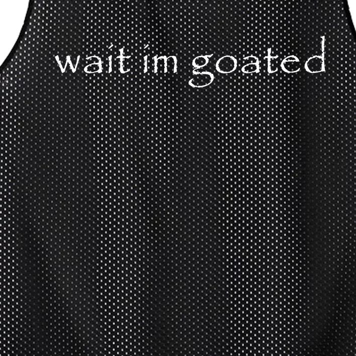 Wait Im Goated Funny Mesh Reversible Basketball Jersey Tank