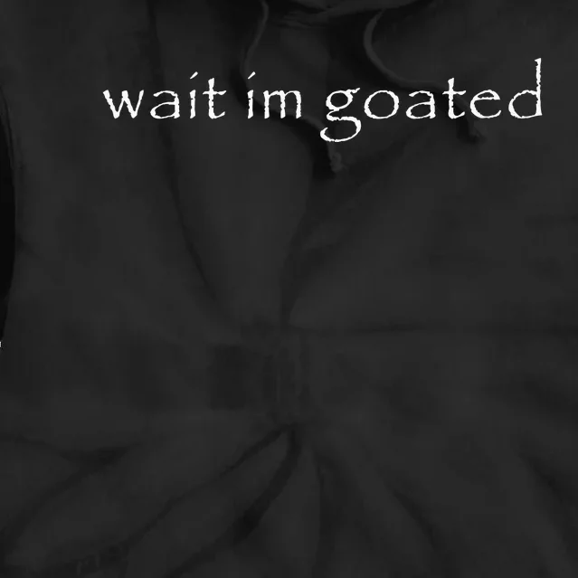 Wait IM Goated Funny Meme Tie Dye Hoodie