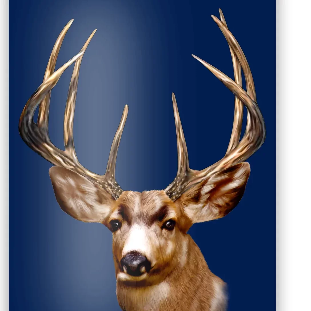 Wildlife - Big Face Deer Head Portrait Poster