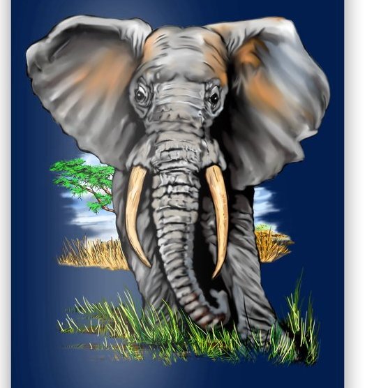 Wildlife - Big Face Elephant Portrait Poster
