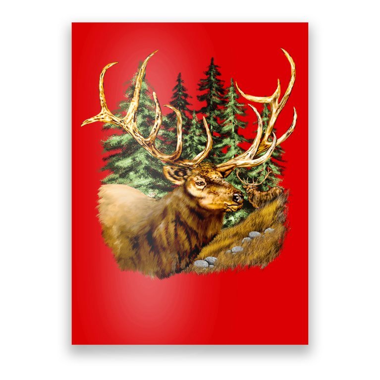 Wildlife - Elk Portrait Poster