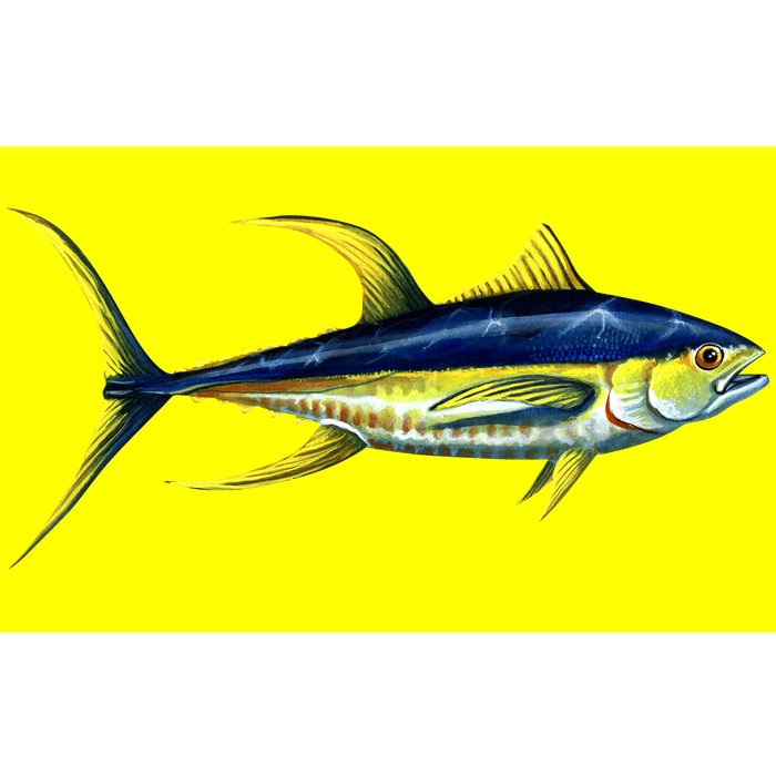 Wildlife - Yellowfin Tuna Bumper Sticker