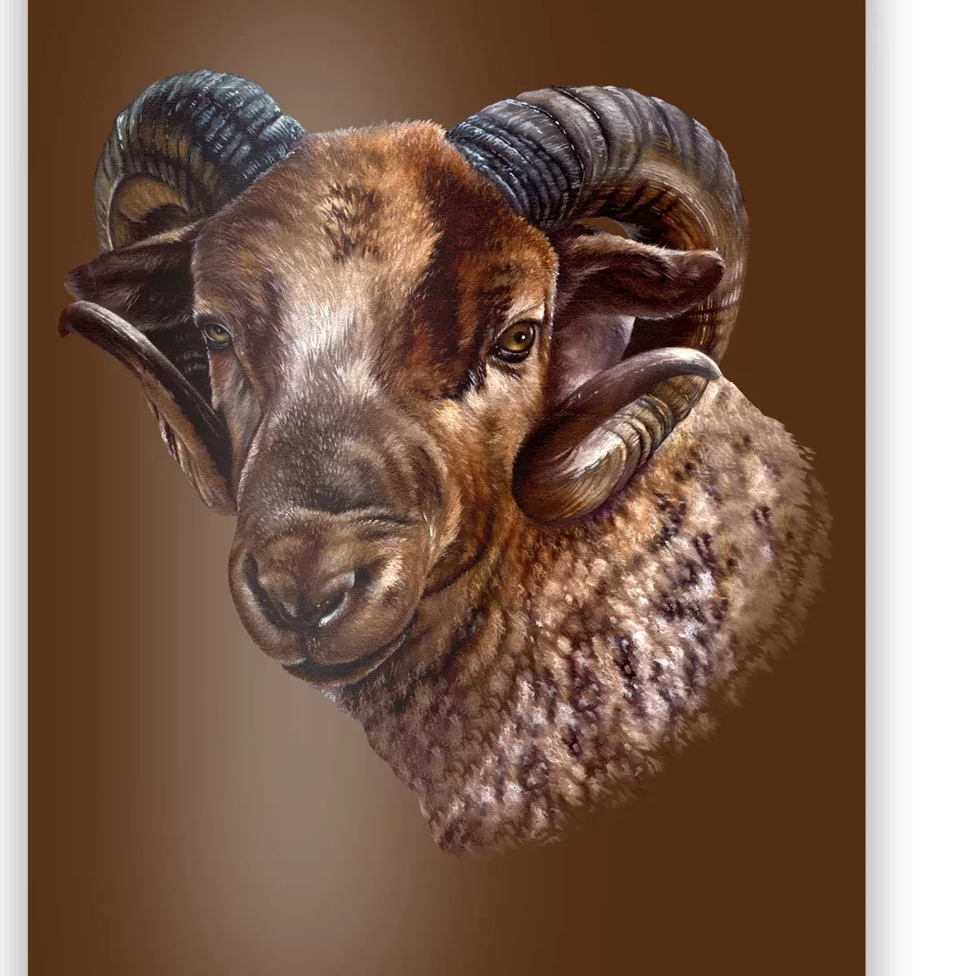 Wildlife Ram Stare Poster