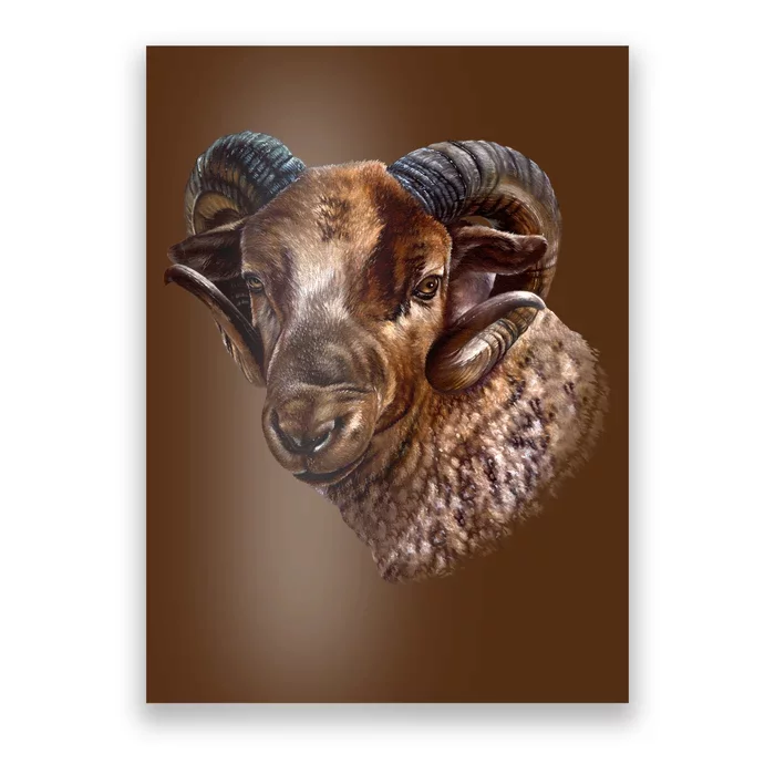 Wildlife Ram Stare Poster