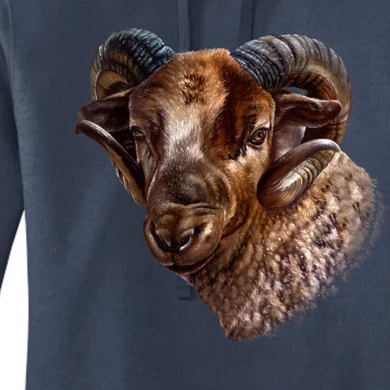 Wildlife Ram Stare Women's Pullover Hoodie