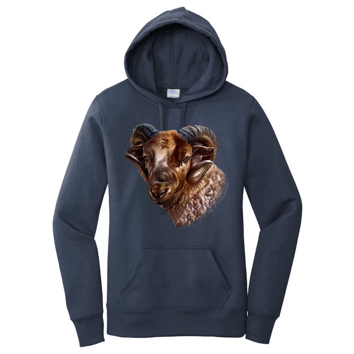 Wildlife Ram Stare Women's Pullover Hoodie