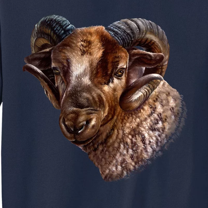 Wildlife Ram Stare Tall Sweatshirt