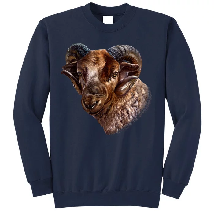 Wildlife Ram Stare Tall Sweatshirt