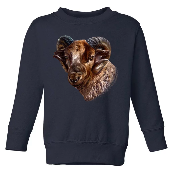 Wildlife Ram Stare Toddler Sweatshirt