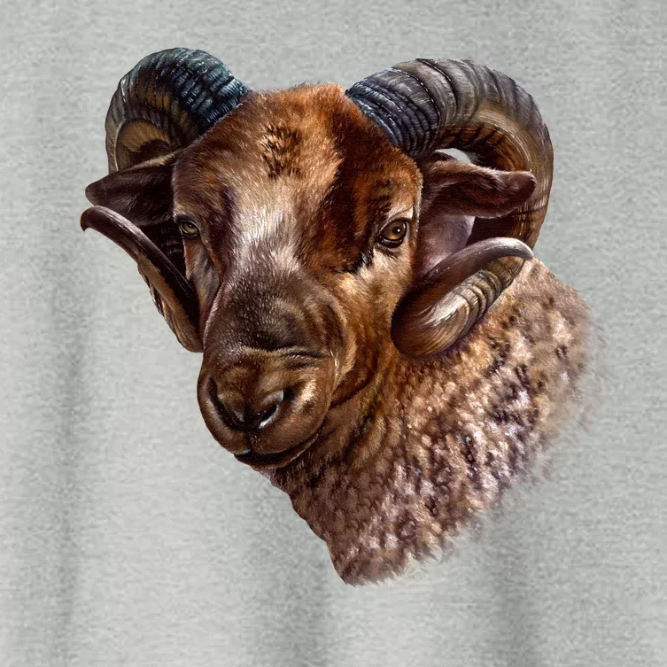 Wildlife Ram Stare Women's Crop Top Tee