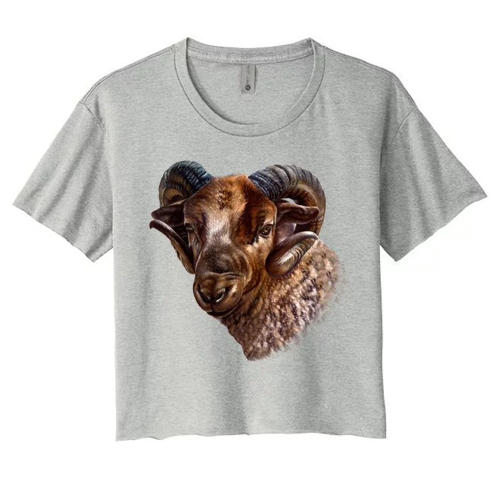 Wildlife Ram Stare Women's Crop Top Tee