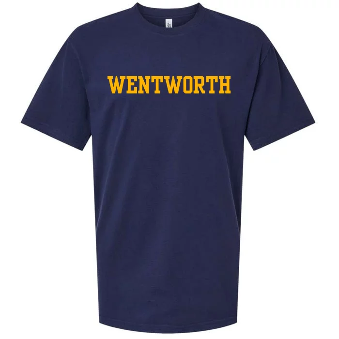 Wentworth Institute Of Technology Sueded Cloud Jersey T-Shirt