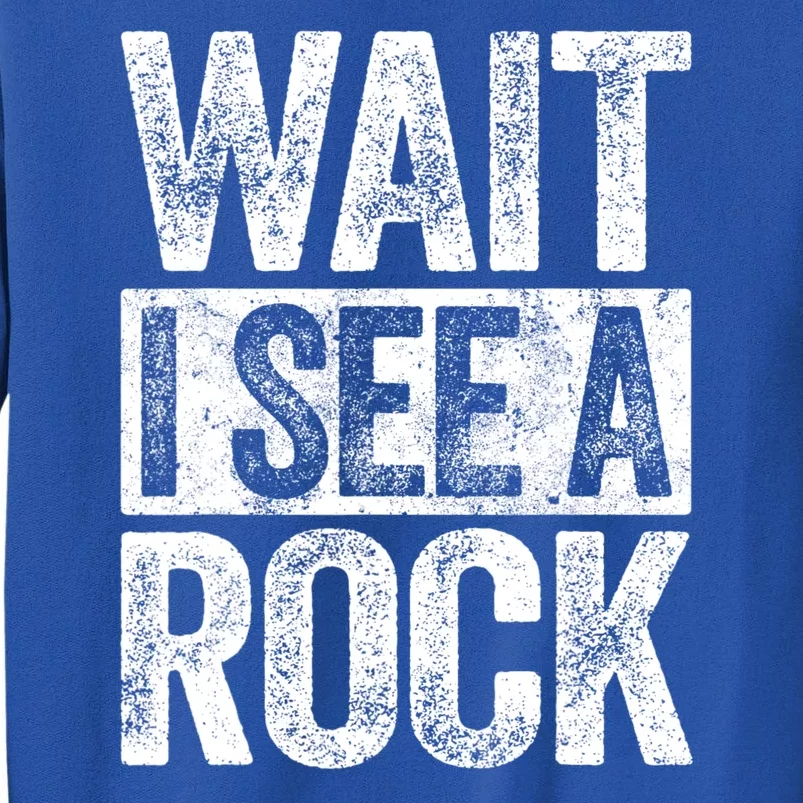 Wait I See A Rock Funny Geologist Gift Tall Sweatshirt