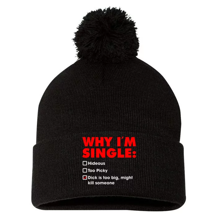 Why I'm Single Hideous Too Picky Dick Is Too Big ,Might Kill Someone Pom Pom 12in Knit Beanie