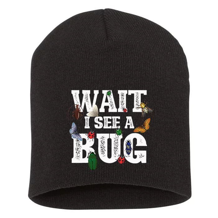 Wait I See A Bug Entomology Insect Collector Entomologist Short Acrylic Beanie