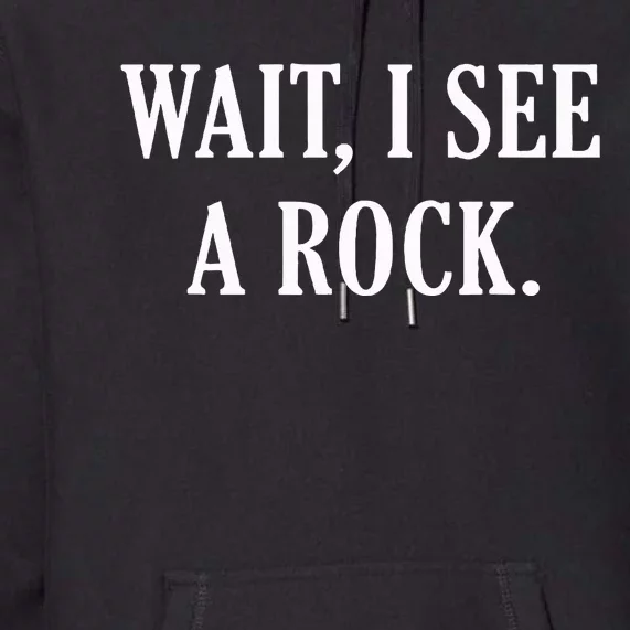 Wait I See A Rock Funny Geology Lover Premium Hoodie