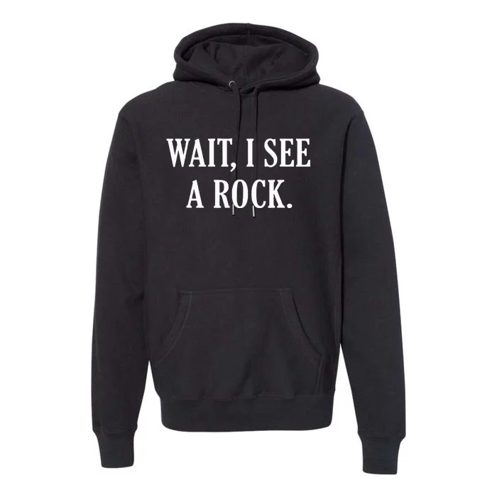 Wait I See A Rock Funny Geology Lover Premium Hoodie