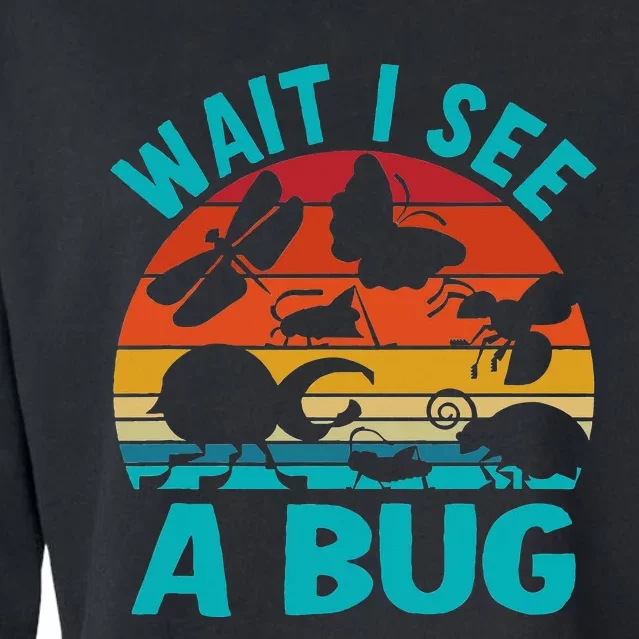 Wait I See A Bug Cropped Pullover Crew