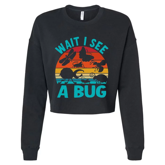 Wait I See A Bug Cropped Pullover Crew