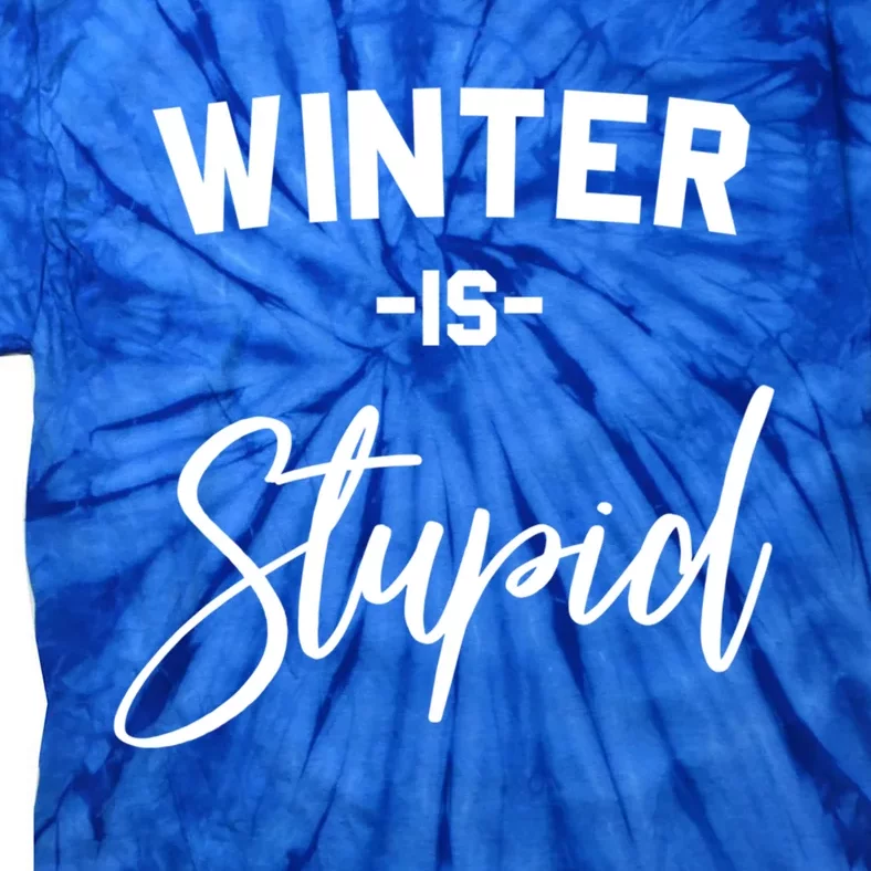 Winter Is Stupid Gift Tie-Dye T-Shirt