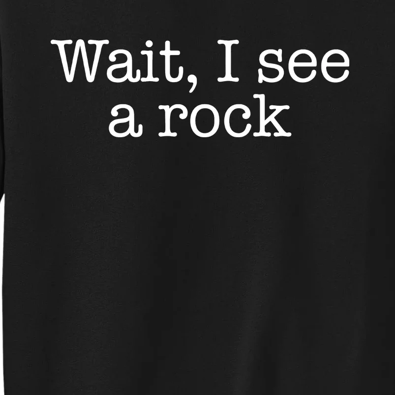 Wait I See A Rock Geology Teacher Sweatshirt