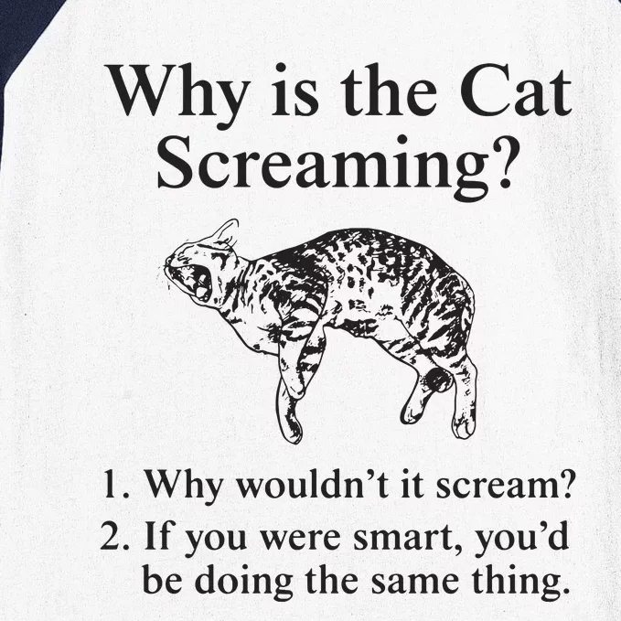 Why Is The Cat Screaming Funny Meme Baseball Sleeve Shirt