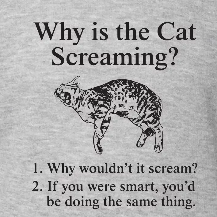 Why Is The Cat Screaming Funny Meme Toddler Sweatshirt